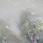 aa79294485d71b4cd253ea3ca6625908.jpg