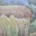 d4d2cfcdb3643678abae2cfa482d4ab5.jpg