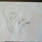 032559e6214dfcc1e2a10b5630f97d3d.jpg
