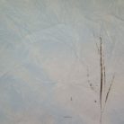 0783ebd2909a0ac31989c18b6628f40a.jpg