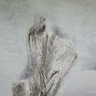 3078e37d5c3d3ab13f904fcd96caee18.jpg