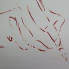3f318ee4076d694082237944783f82c6.jpg
