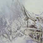 6861ab4b44bf01ad3a269f0023e18a5a.jpg