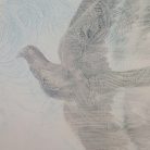 786c8215e728f9374c55c1b3f8aaa4ab.jpg