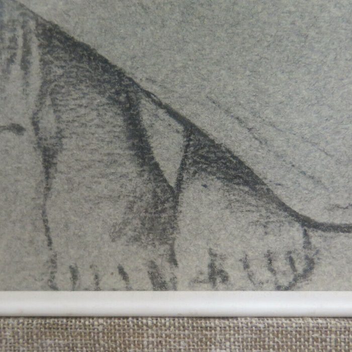 87a652b7abecc88d8da3af7a59362223.jpg