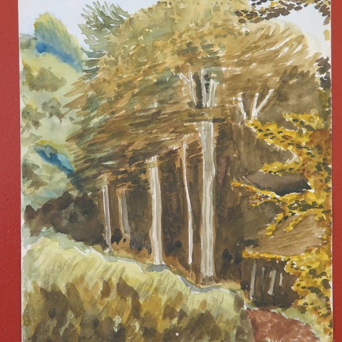 8c2aab5e327b1c6fd94484ed0d37daeb.jpg
