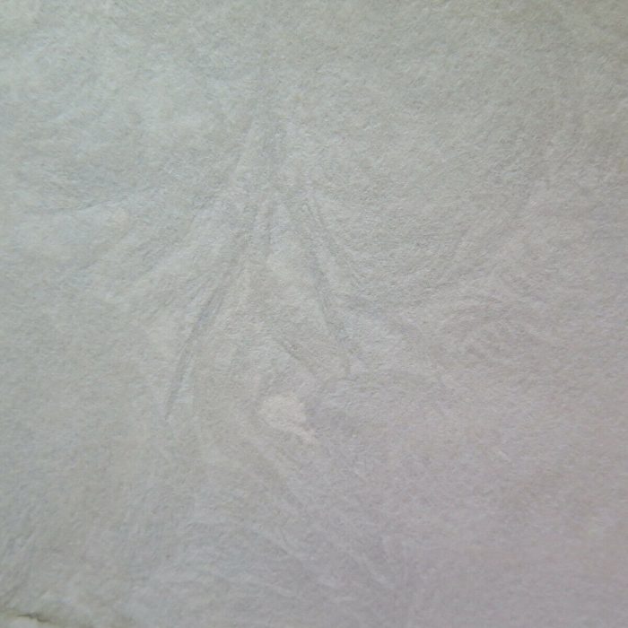 fa6cca11e872bac255976bba01c203a6.jpg