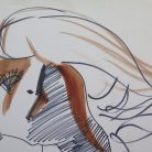 0ec87544a86f5b0e50d6c0aba36c9cb9.jpg
