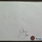 2dcf97db965554bf092b12ad6200b4f4.jpg