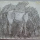 5e7c023082eb6c487d9666397155be66.jpg