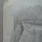 7770d096827020208787717cb08f89e7.jpg